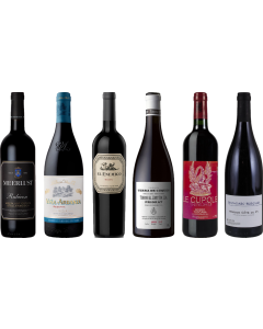 8Wines Lo Staff Sceglie il Vino Rosso Caso Degustazione