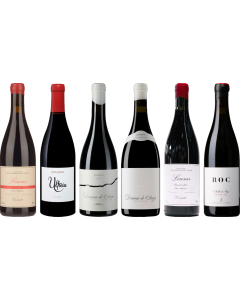 Mencia Caso Degustazione Premium