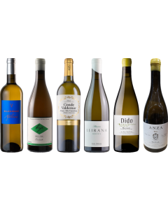 Cassa degustazione di Vini Bianchi Spagnoli Premium