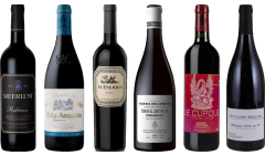 8Wines Lo Staff Sceglie il Vino Rosso Caso Degustazione