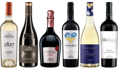 Caso Degustazione di Vino Moldavo Chateau Purcari