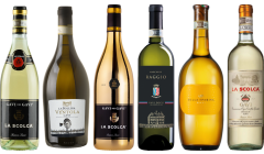 Gavi Caso Degustazione