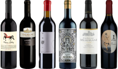 Saperavi Georgiano Caso Degustazione Premium