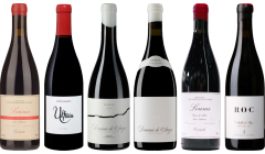 Mencia Caso Degustazione Premium