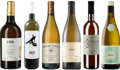 Caso Degustazione del Vino Arancione Premium