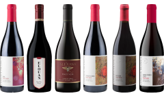 Cassa di degustazione Pinot Noir Premium dell'Oregon