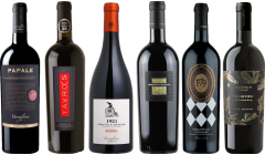 Primitivo Caso Degustazione Premium