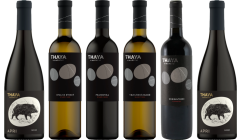 Thaya Decanter Selection Caso Degustazione Premium