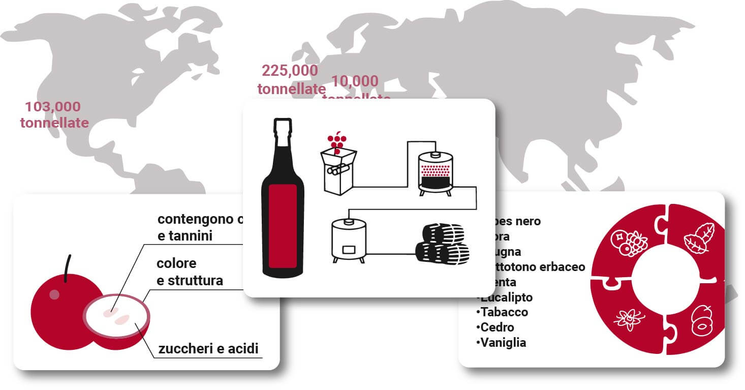 Guida al Cabernet Sauvignon nel mondo