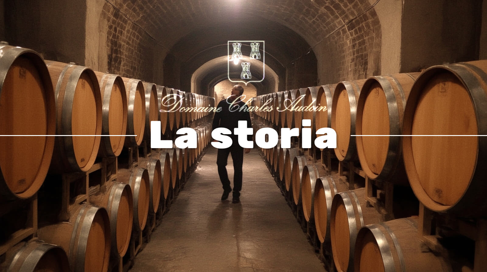 Domaine Audoin La storia