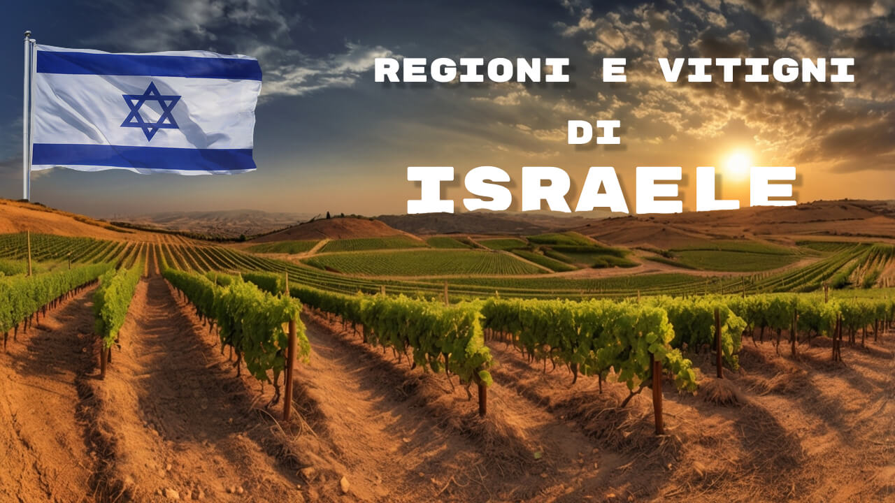 Regioni e vitigni di Israele
