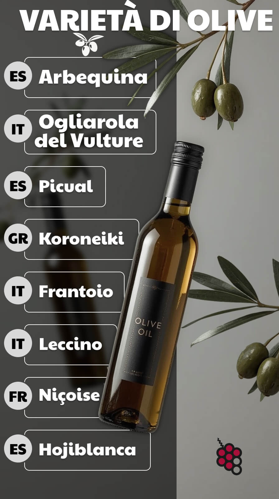 VARIETÀ DI OLIVE