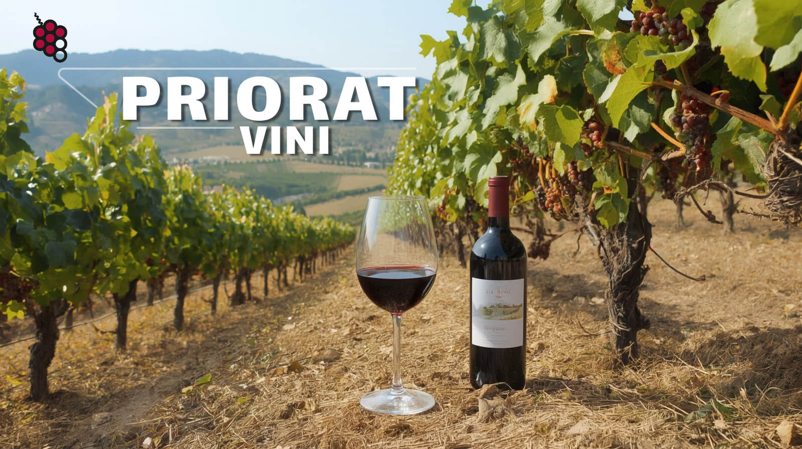 I vini del Priorat: Dall'antica tradizione monastica alla rinascita moderna