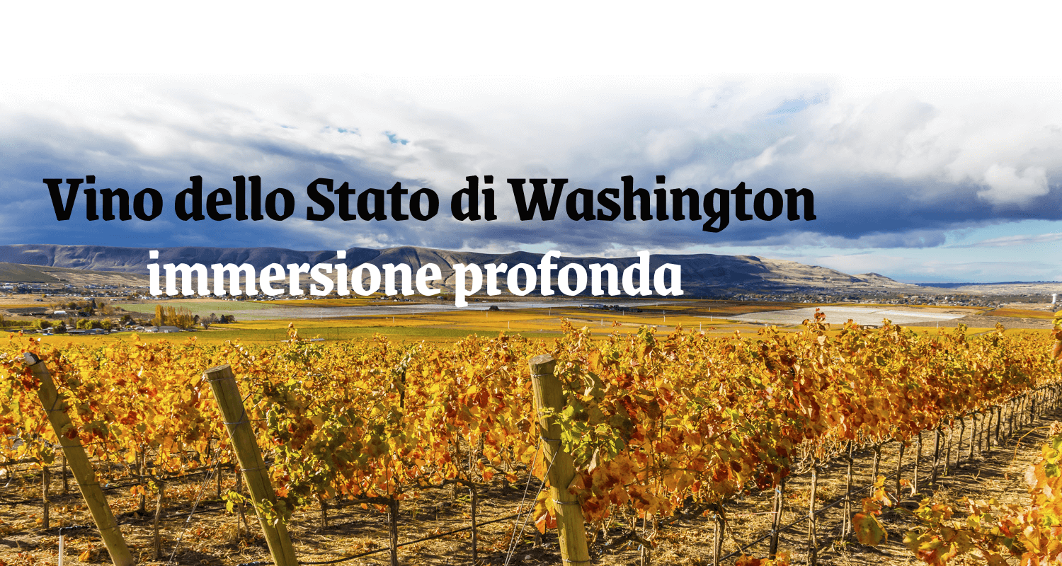 Vino dello Stato di Washington - immersione profonda